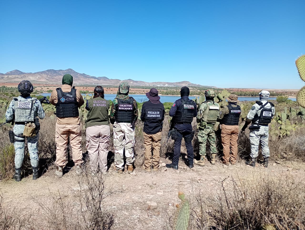 EN FRESNILLO, AUTORIDADES ESTATALES Y COLECTIVOS REALIZAN BÚSQUEDA FORENSE.