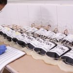 HOY 17 DE ABRIL SE CONMEMORA EL DÍA MUNDIAL DE LA HEMOFILIA.