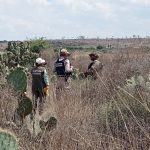 REALIZAN AUTORIDADES ESTATALES BÚSQUEDAS FORENSE Y PEGA DE CÉDULAS, EN PINOS.