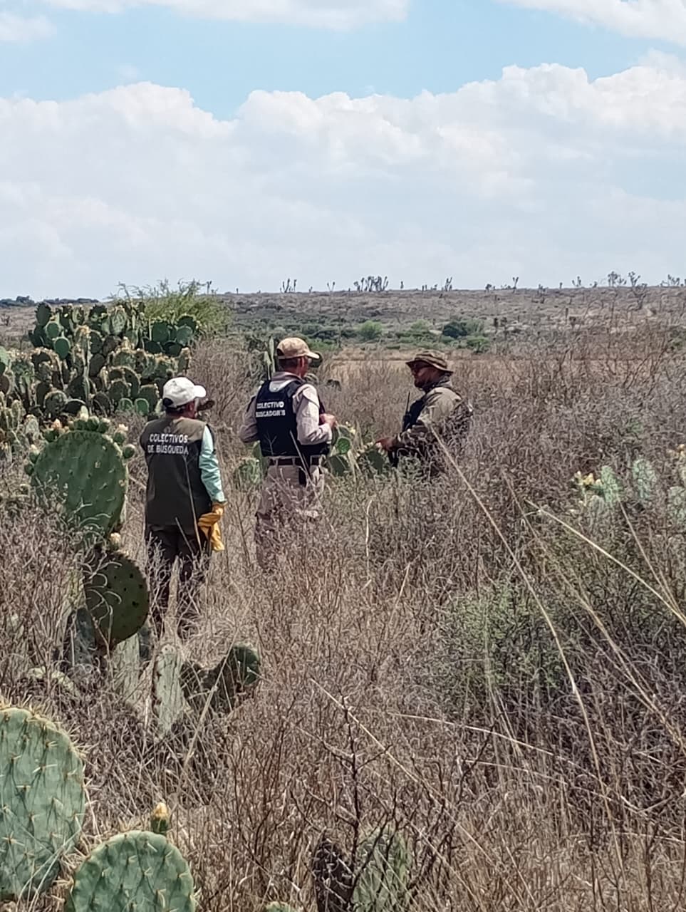 REALIZAN AUTORIDADES ESTATALES BÚSQUEDAS FORENSE Y PEGA DE CÉDULAS, EN PINOS.