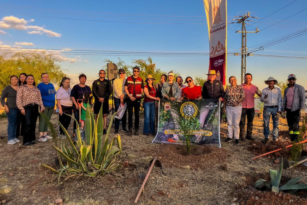 AVANZA PROGRAMA DE REFORESTACIÓN EN GUADALUPE ANUNCIADO POR PEPE SALDÍVAR