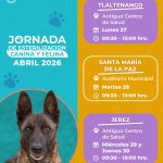 OFRECE GOBIERNO DE ZACATECAS CIRUGÍAS PARA ESTERILIZAR PERROS Y GATOS EN TLALTENANGO, SANTA MARIA DE LA PAZ Y JEREZ