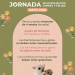 SSZ LLEVARÁ SERVICIOS DE ESTERILIZACIÓN CANINA Y FELINA A VILLA DE COS.