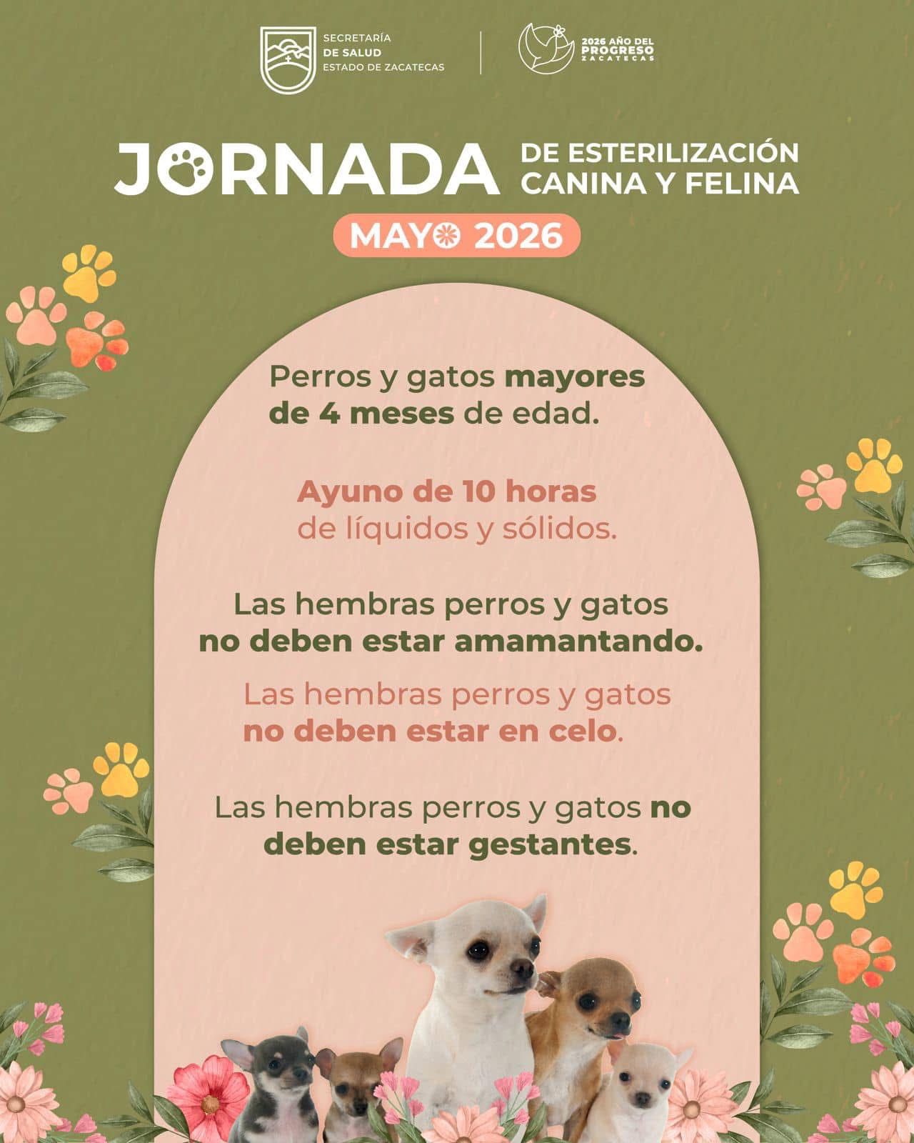 SSZ LLEVARÁ SERVICIOS DE ESTERILIZACIÓN CANINA Y FELINA A VILLA DE COS.
