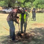 CIUDADANÍA Y GOBIERNO DE PEPE SALDÍVAR CONTINÚAN TRABAJANDO DE LA MANO EN REFORESTACIÓN.