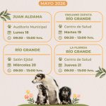 ESTERILIZARÁ GOBIERNO DE ZACATECAS MASCOTAS, DE MANERA GRATUITA, EN JUAN ALDAMA Y RÍO GRANDE.