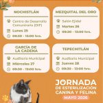 BRIGADA DE ESTERILIZACIÓN CANINA Y FELINA DE LA SSZ LLAGARÁ A NOCHISTLÁN, MEZQUITAL DEL ORO, GARCÍA DE LA CADENA Y TEPECHITLÁN.