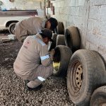 EMITE SSZ RECOMENDACIONES PARA PREVENIR EL DENGUE ANTE LLEGADA DE LLUVIAS.<br>