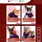 SSZ ESTERILIZARÁ MASCOTAS EN MIGUEL AUZA, RÍO GRANDE, JUCHIPILA Y TABASCO.<br>