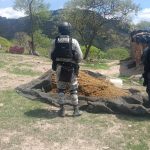 ASEGURAN FUERZAS DE SEGURIDAD SEIS VEHÍCULOS, UN ARMA LARGA Y DESTRUYEN 300 KILOS DE MARIHUANA EN FLORENCIA DE BENITO JUÁREZ.