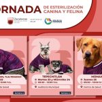 GOBIERNO DE ZACATECAS REALIZARÁ ESTERILIZACIONES GRATUITAS A MASCOTAS EN TLALTENANGO, TEPECHITLÁN Y MOMAX.
