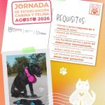 CONTINUARÁ SSZ CON ESTERILIZACIONES GRATUITAS EN PERROS Y GATOS DURANTE EL MES DE AGOSTO.<br>