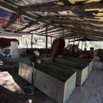 ASEGURAN FUERZAS DE SEGURIDAD LABORATORIO CLANDESTINO PARA ELABORACIÓN DE DROGAS SINTÉTICAS EN FRESNILLO.