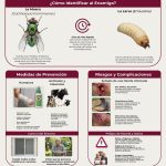 TRABAJA GOBIERNO DE ZACATECAS EN VIGILANCIA Y PREVENCIÓN DE MIASIS POR GUSANO BARRENADOR DEL GANADO.