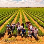 ACERCAN DAVID MONREAL Y PEPE SALDÍVAR A PRODUCTORES GUADALUPENSES DE CHILE CON EMPRESAS