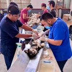 SSZ ESTERILIZARÁ MASCOTAS EN LUIS MOYA, LORETO Y VILLA GONZÁLEZ ORTEGA