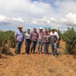 SUPERVISA PEPE SALDÍVAR TRABAJO DE TRACTORES NUEVOS EN COMUNIDADES DE GUADALUPE