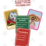 LLEVA GOBIERNO DE ZACATECAS JORNADAS DE ESTERILIZACIÓN PARA GATOS Y PERROS A MAZAPIL Y VILLANUEVA.