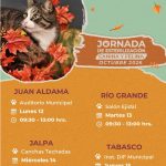 BRIGADA PERMANENTE DE ESTERILIZACIÓN CANINA Y FELINA DE LA SSZ VISITAŔÁ JUAN ALDAMA, RÍO GRANDE, JALPA Y TABASCO.