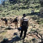 REALIZA GOBIERNO DE ZACATECAS BÚSQUEDA FORENSE GENERALIZADA EN ZONA SERRANA DE FRESNILLO.