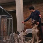 En Guadalupe trabajamos por el bienestar y la protección de nuestros animales.